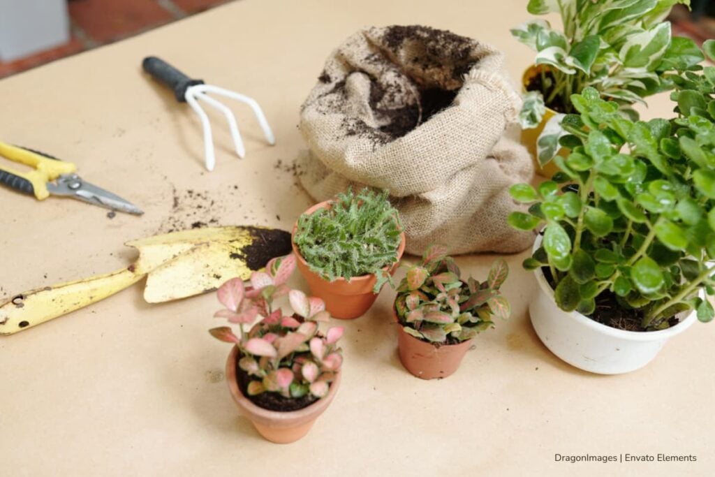 20 Creative Ideas for Sustainable Business Practices 3 Sustainable business, gardening tools, Más Colombia