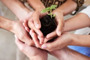 green economy, Más Colombia
