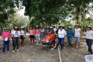 familias en su tierra, productoras agrícolas, mujeres del campo, actividad productiva del campo, Más Colombia