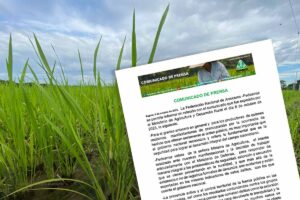 Seguridad en el campo, Fedearroz, Arroz, Más Colombia