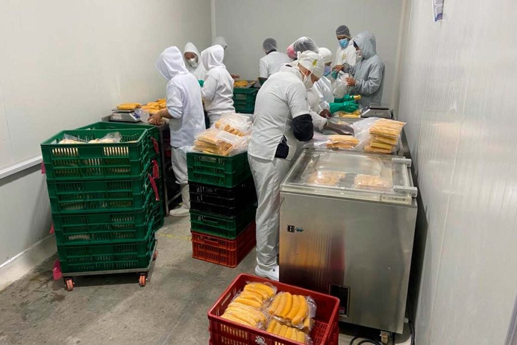 Plátano colombiano para el mundo: así es la empresa que vende patacones y tajadas en EE.UU. para que latinos recuerden su tierra 3 plátano colombiano