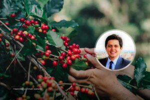 Café en Colombia, cumbre del café, Gustavo Gómez, Asoexport cultivo de café, cafeteros, caficultor, Más Colombia