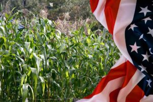 TLC con Estados Unidos, cultivo de maíz, bandera de Estados Unidos, Más Colombia