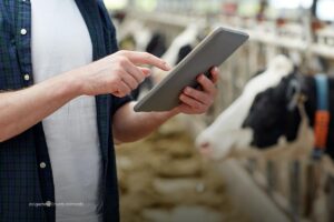 industria agroalimentaria, vacas, ganadero, persona, ganado, Más Colombia