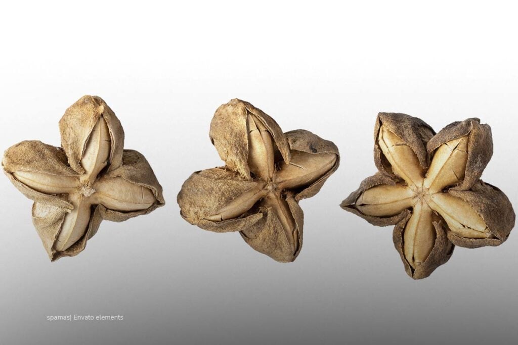 Más de mil familias campesinas sustituyen cultivos ilícitos para fabricar la Bienestarina Más Nuestra 4 Bienestarina Más Nuestra, yuca, tierra, cosecha, Más Colombia