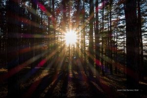 solsticio de invierno alrededor del mundo