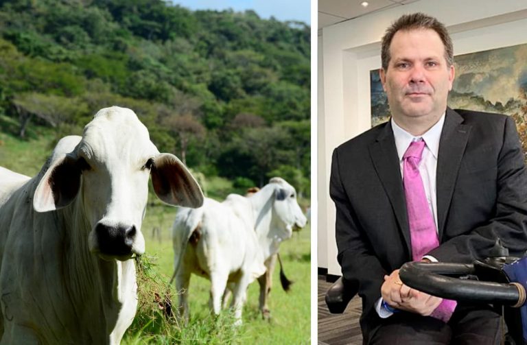 Exportación de ganado, Aexgan, Juan Gonzalo Botero, Más Colombia