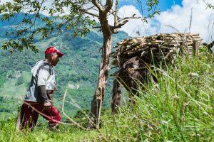superintendencia niega patente de la panela