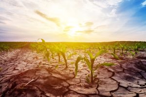 Fenómeno de El Niño, Más Colombia