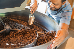 café, renovación de cafetales, cafeteros, Más Colombia