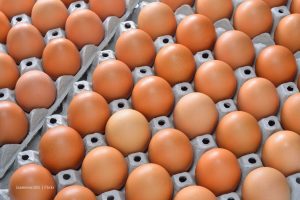 huevos, cubeta de huevos, Más Colombia