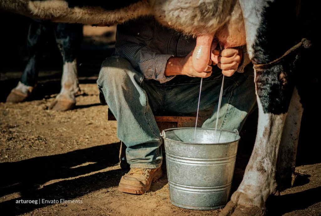 Lecheros colombianos, Productos lácteos, Importaciones, Más Colombia