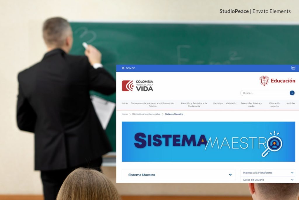 Sistema Maestro 2024, Magisterio, Más Colombia