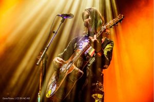 Andrea Echeverry, aterciopelados, Más Colombia