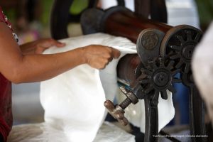 cavucol, caucho, industria del caucho, Más Colombia