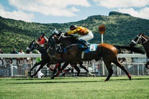 carreras de caballos, Más Colombia