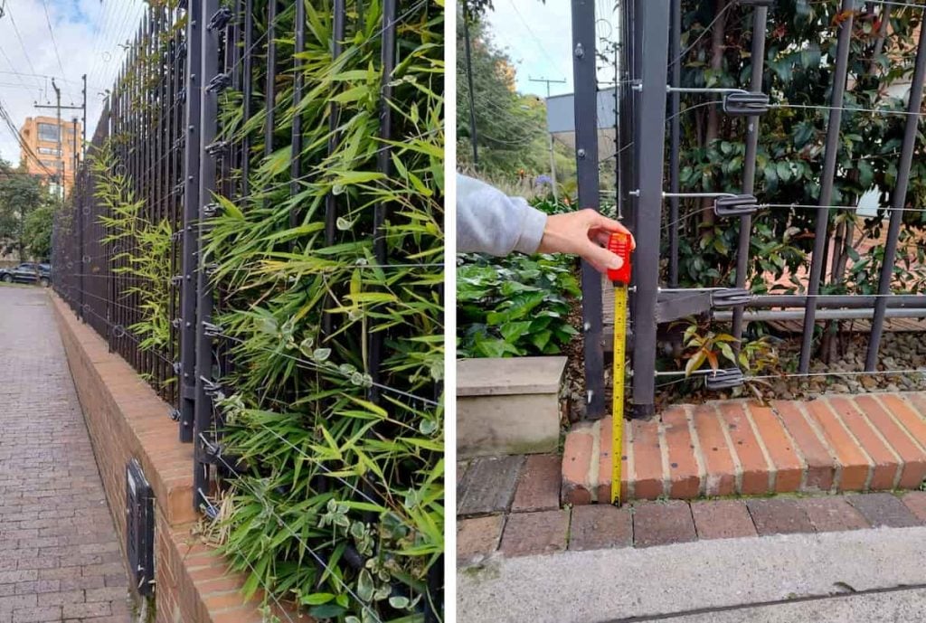 Atención, junto a prestigioso colegio en Bogotá pusieron peligrosa cerca eléctrica: más de 2.000 niños y mascotas pueden electrocutarse 4 Cerca eléctrica, Liceo Francés, Más Colombia