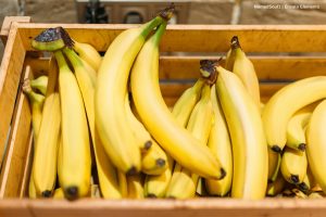 precio del banano, canasta de bananos, Más Colombia