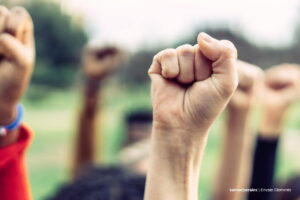 corridas de toros, testeo de animales, activismo animalista, Más Colombia