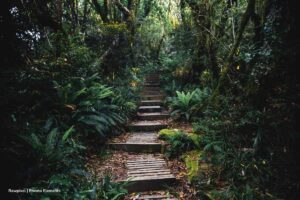 caminatas cerca a Bogotá, sendero ecológico, Más Colombia