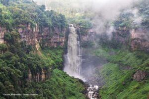 deforestación, amazonía colombiana, Más Colombia