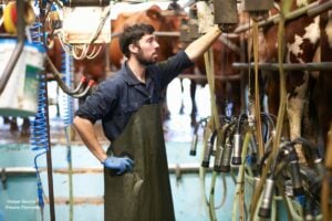 Crisis lechera, producción de lácteos, Más Colombia