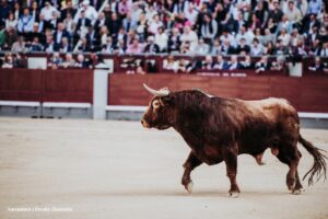 ley no más olé, toro, corrida de toros, Más Colombia