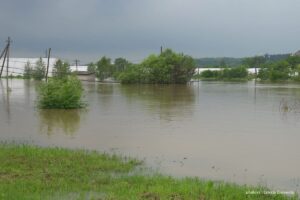 sector agricola colombiano en alerta