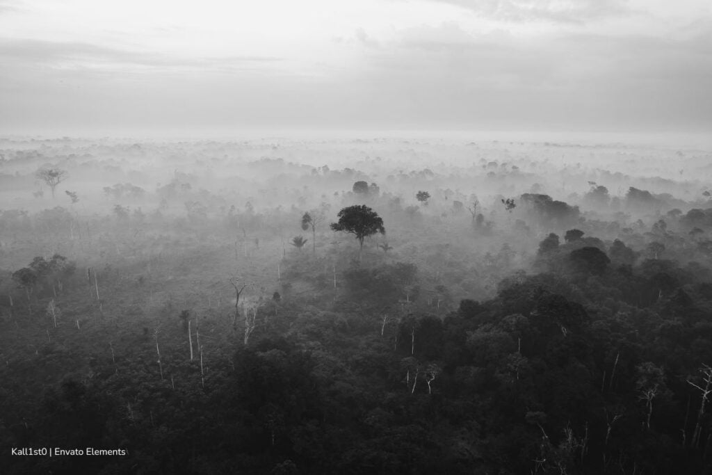 10 películas colombianas para cerrar el año con broche de oro 2 10 películas colombianas imperdibles, ver película, televisor, cine, abrazo de la serpiente, Más Colombia