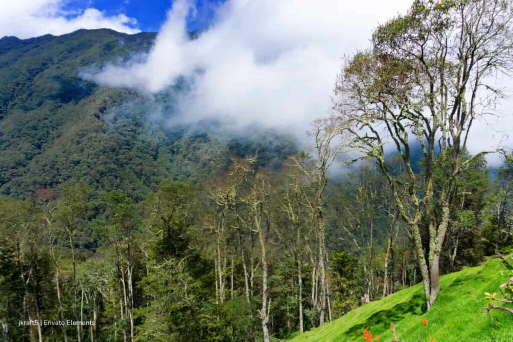 Descubra 5 destinos en Colombia que debe visitar al menos una vez en la vida 3 Destinos en Colombia imperdibles, bandera de Colombia, Cauca, Más Colombia