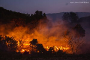 cambio climático, incendio, Más Colombia