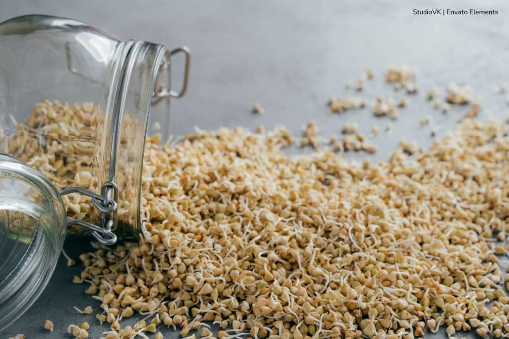 Cómo hacer una dieta vegana 5 dieta vegana, germinados, Más Colombia
