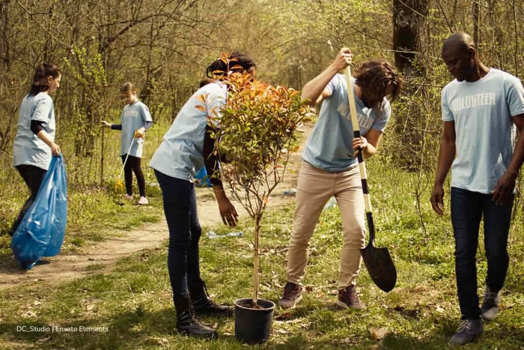 Alarmante panorama en el Día Internacional de los Bosques: sequías, talas e incendios en aumento 4 Día Internacional de los Bosques, siembra de árboles, Más Colombia