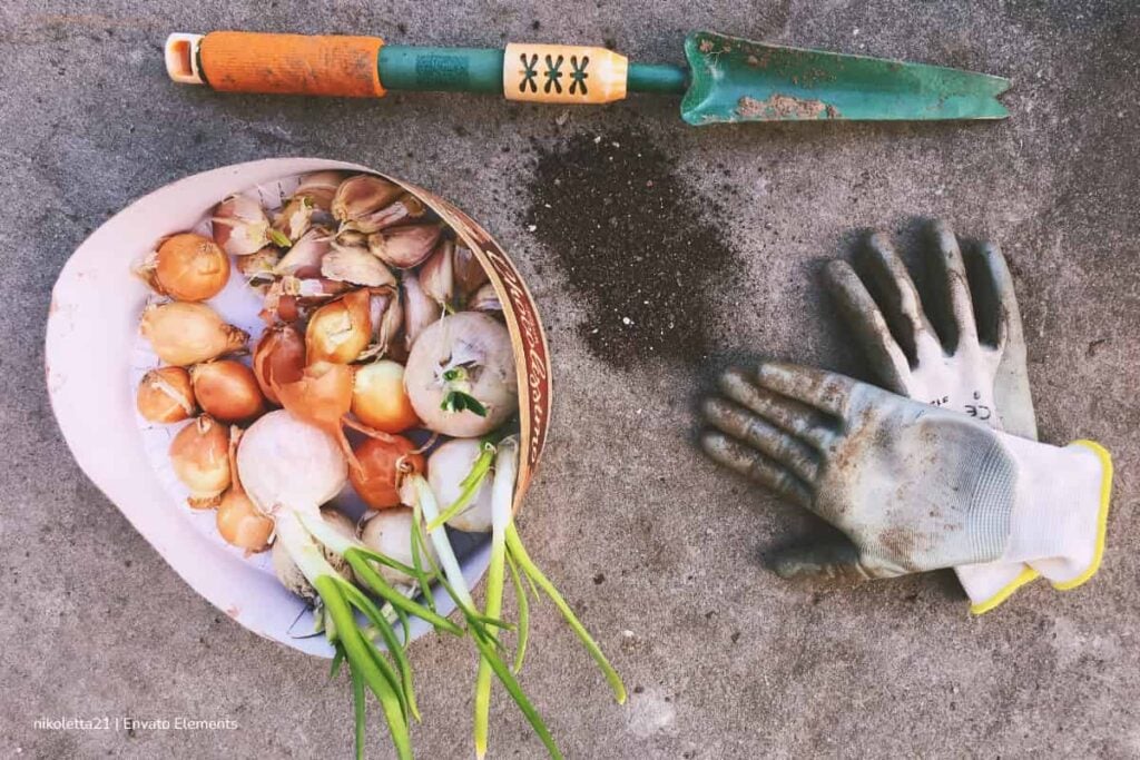 Pilas, hay nuevas fechas para el concurso Entidades del Orden Nacional: requisitos y cómo inscribirse 4 concurso Entidades del Orden Nacional, herramientas de campo, Más Colombia