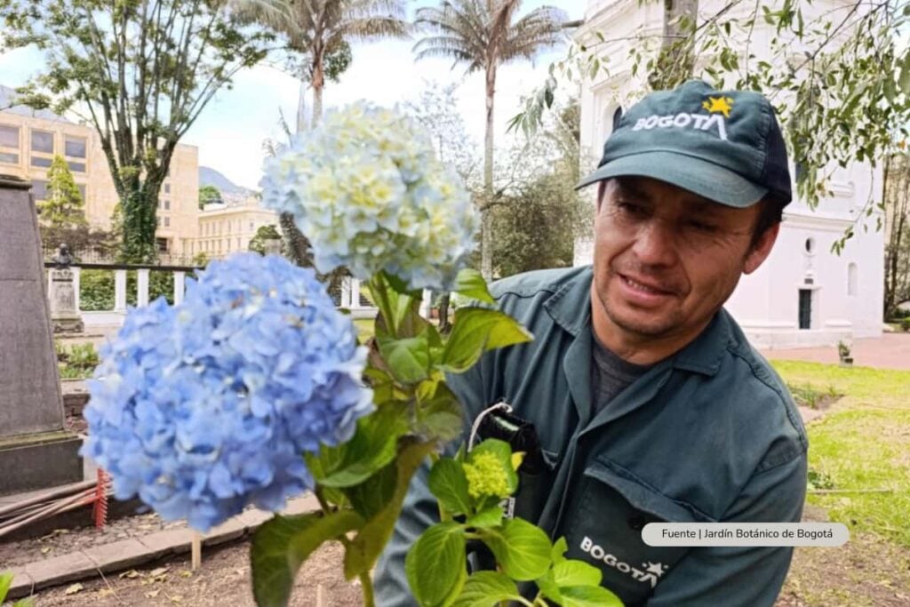 Jardín Botánico transforma el entorno del Observatorio Astronómico en Bogotá con más de 1.400 plantas 3 Observatorio Astronómico en Bogotá, siembra de plantas, Más Colombia