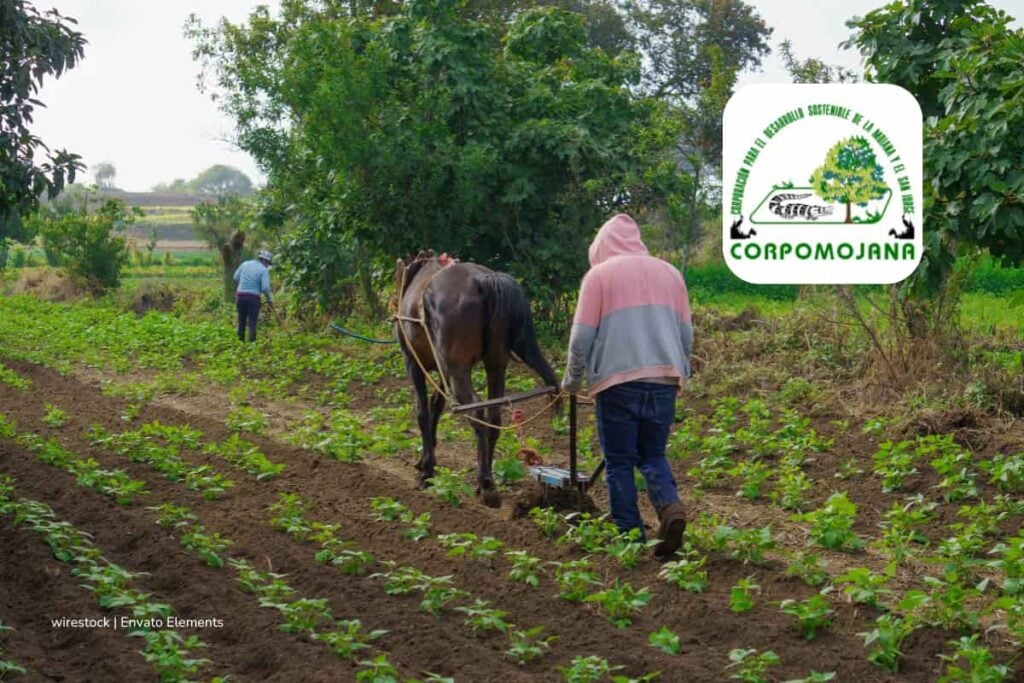 Prepárese, abren inscripciones para el concurso Entidades del Orden Nacional de la CNSC: paso a paso para aplicar 3 concurso Entidades del Orden Nacional, campesinos trabajando, Más Colombia