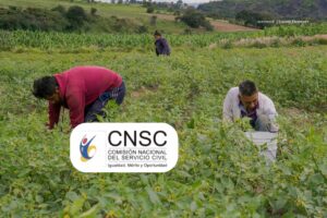 concurso Entidades del Orden Nacional, hombres trabajando en campo, Más Colombia