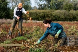 convocatoria para el campo bogotano, personas del campo, Más Colombia