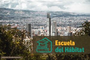 cursos gratuitos, escuela, hábitat, bogotá, Más Colombia