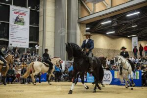 agroexpo 2025, caballos, muestra, jinete, más colombia