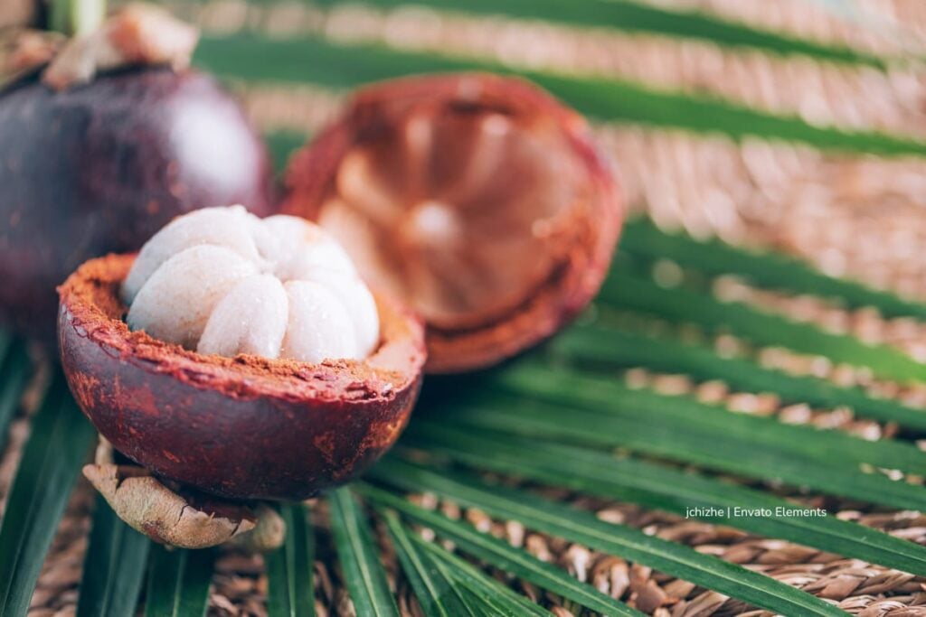 La cáscara del mangostino podría ser un potencial prebiótico, según investigación colombiana 4 cáscara del mangostino, mangostino encima de hojas, Más Colombia