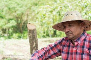 reforma laboral, informalidad en el campo, Dignidad Agropecuaria, trabajadores rurales, empleo agropecuario, empleo en el campo, sector rural, campesinos, campo colombiano, economía campesina, campesino, más colombia