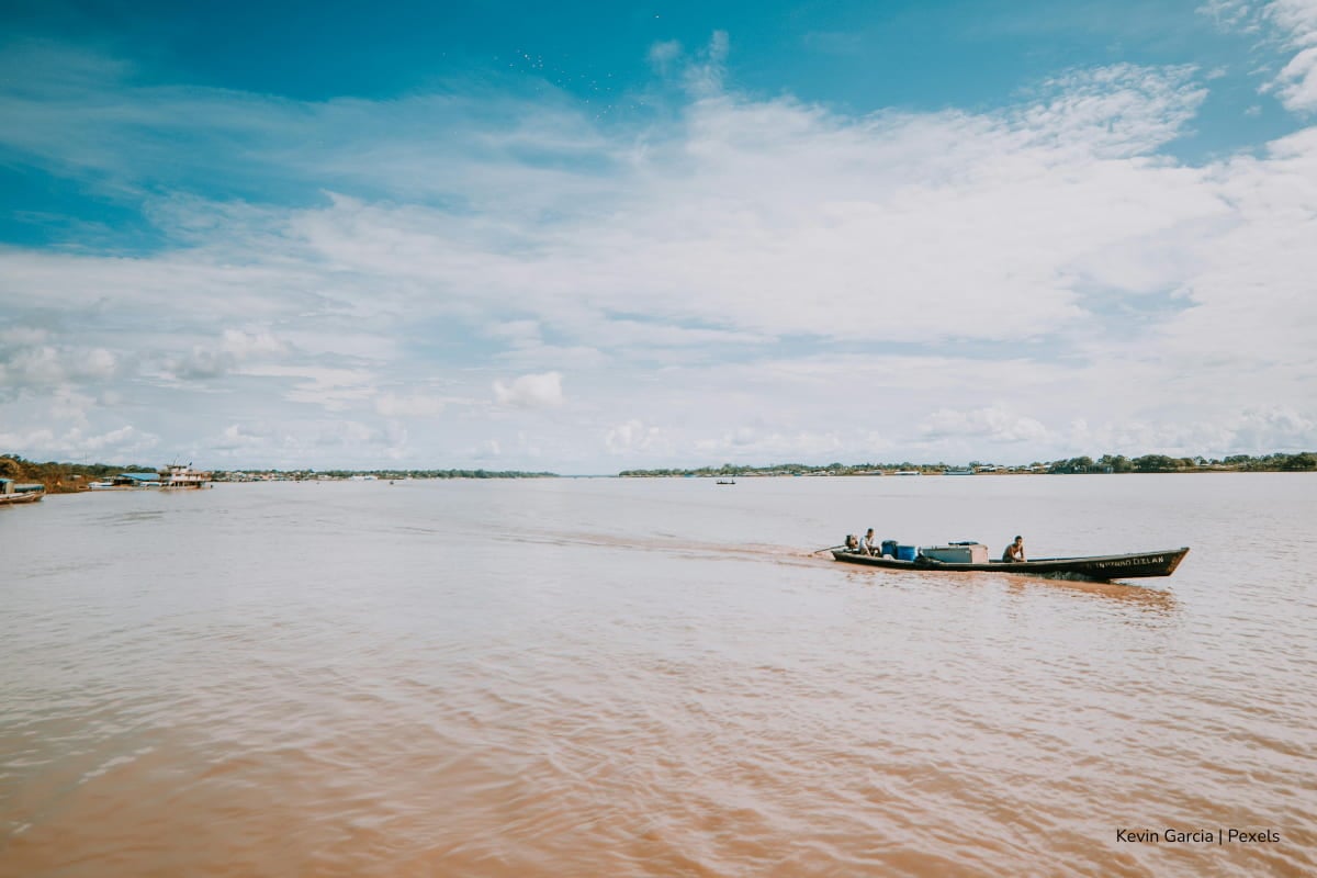 Expertos de la UNAL advierten que el río Amazonas se aleja de Colombia: caudal en Leticia cae por debajo del 20% 1 río Amazonas, Leticia, Río Amazonas en su esplendor, Más Colombia
