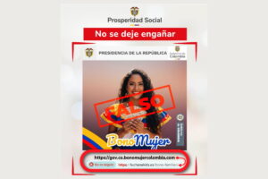 Falso Bono Mujer, Subsidios,