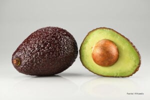 producción de aguacate, aguacate partido en dos, Más Colombia
