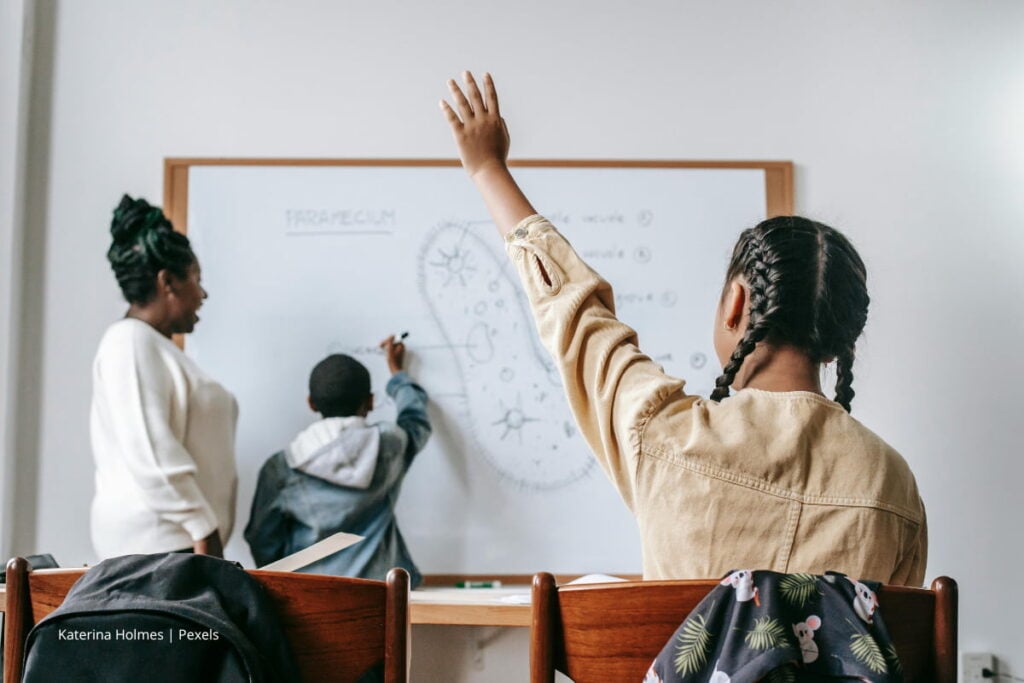 profesor del magisterio