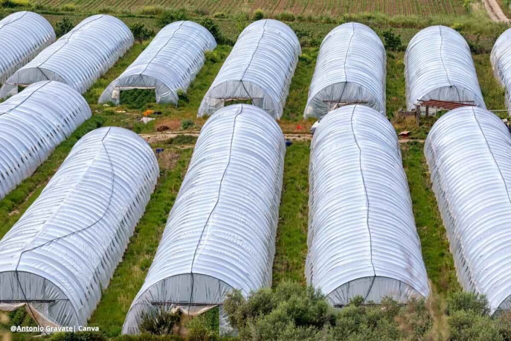 Diversidad agricola Colombia