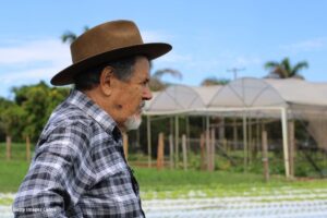 impulso al campo, subsidios para el sector rural, financiamiento agropecuario, Incentivo al Seguro Agropecuario, Equipo de asistencia técnica rural en Colombia, Más Colombia