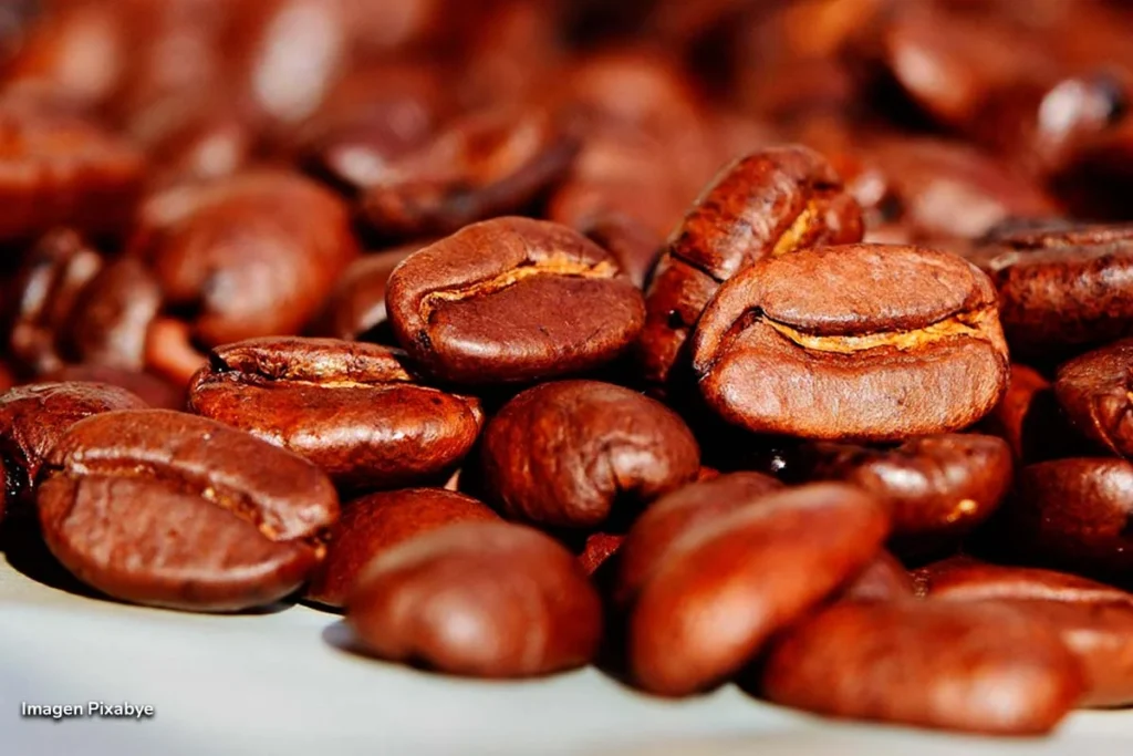 Las cafeterías bogotanas demuestran su talento en el Coffee Master 2025 3 Primer plano de granos de café colombiano tostados.