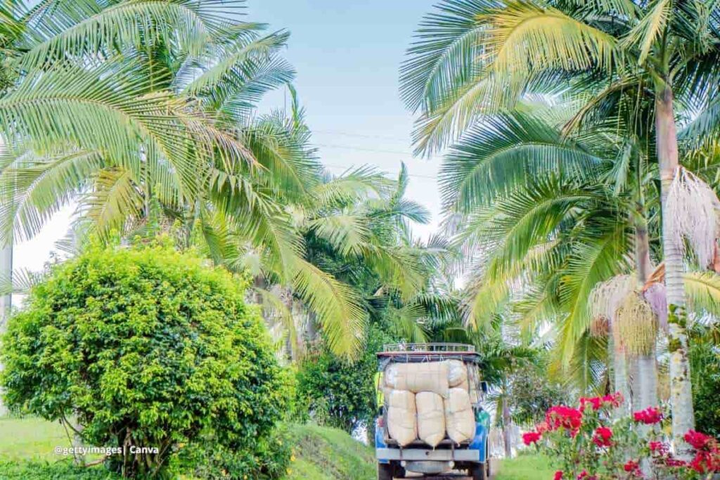 La Importancia del Campesino en Colombia y la Necesidad de Tecnificar el Campo 2 innovación agrícola Colombia